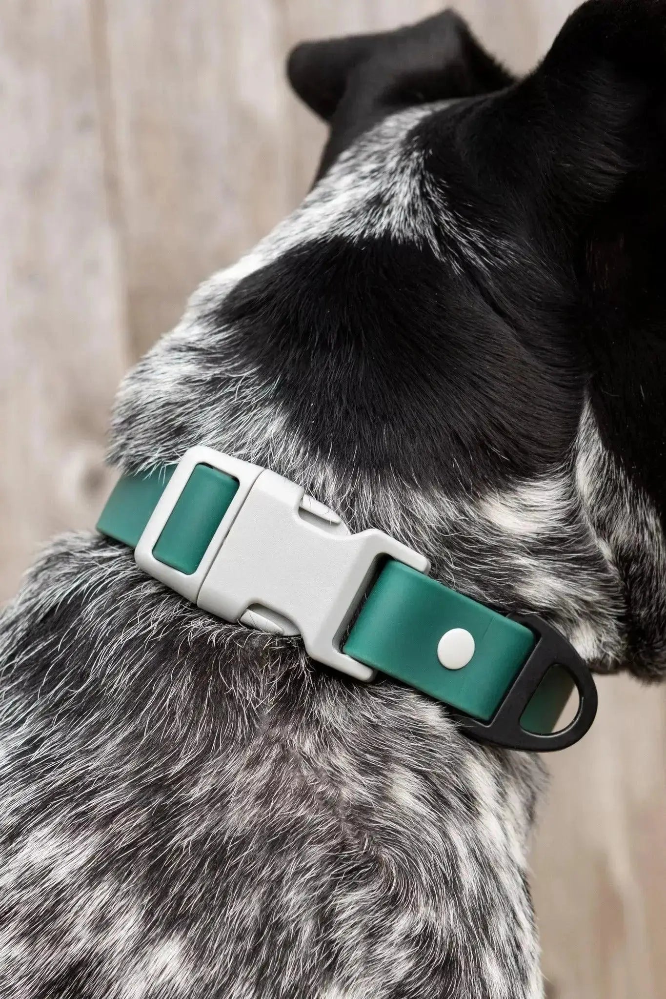 Siberian Spruce Waterproof Dog Collar Burgundy Perses