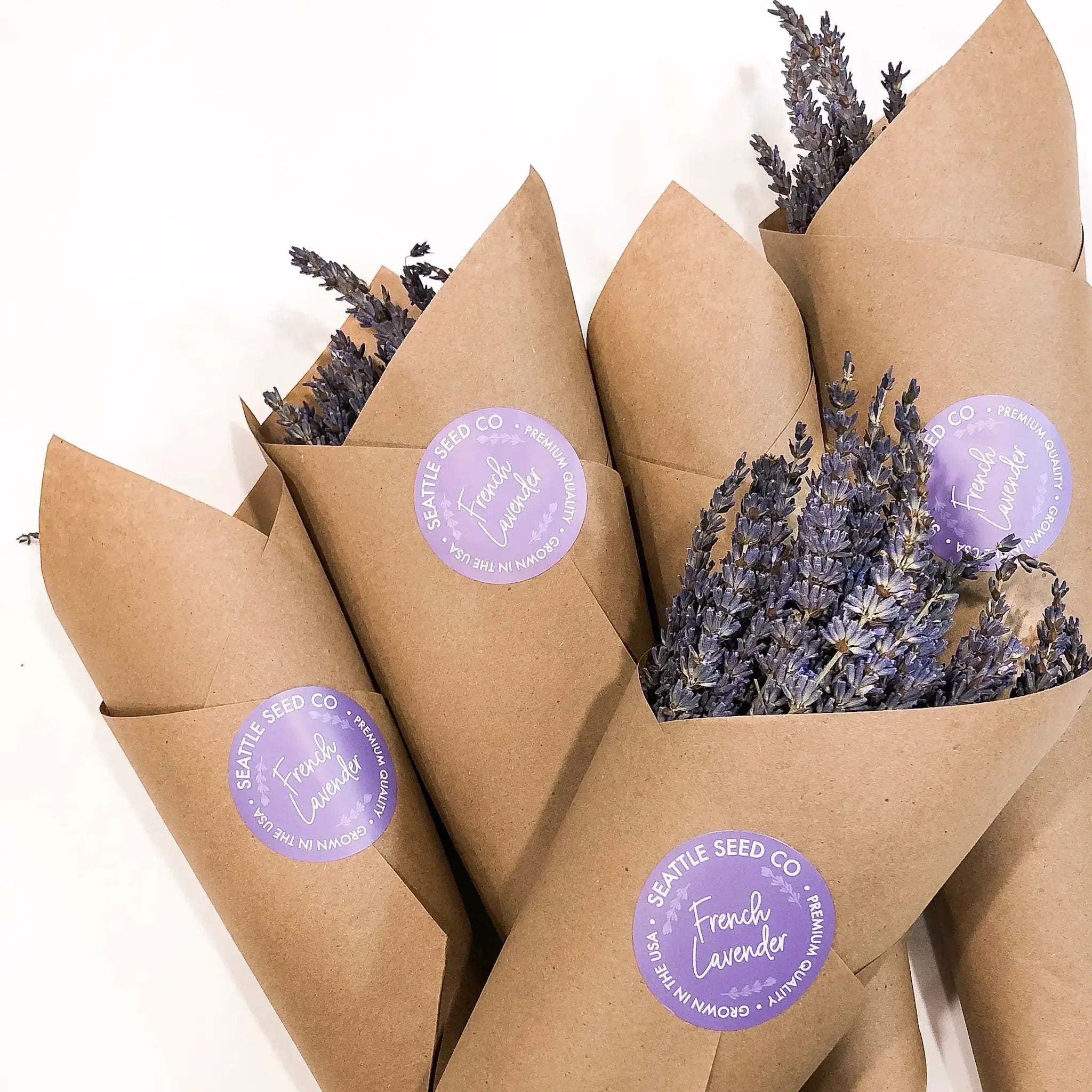 Fragrant Dried French Lavender Flowers Home Decor Carmine Arachne